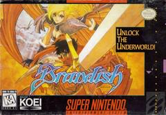 Brandish - Super Nintendo