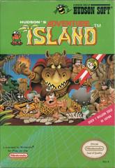 Filthy Games Room - Adventure Island - Video Game - NES