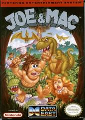 Filthy Games Room - Joe and Mac - Video Game - NES